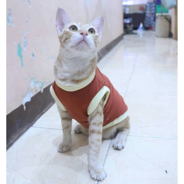 Kaos rumahan untuk kucing dan anjing warna coklat / baju kucing murah size S M L XL