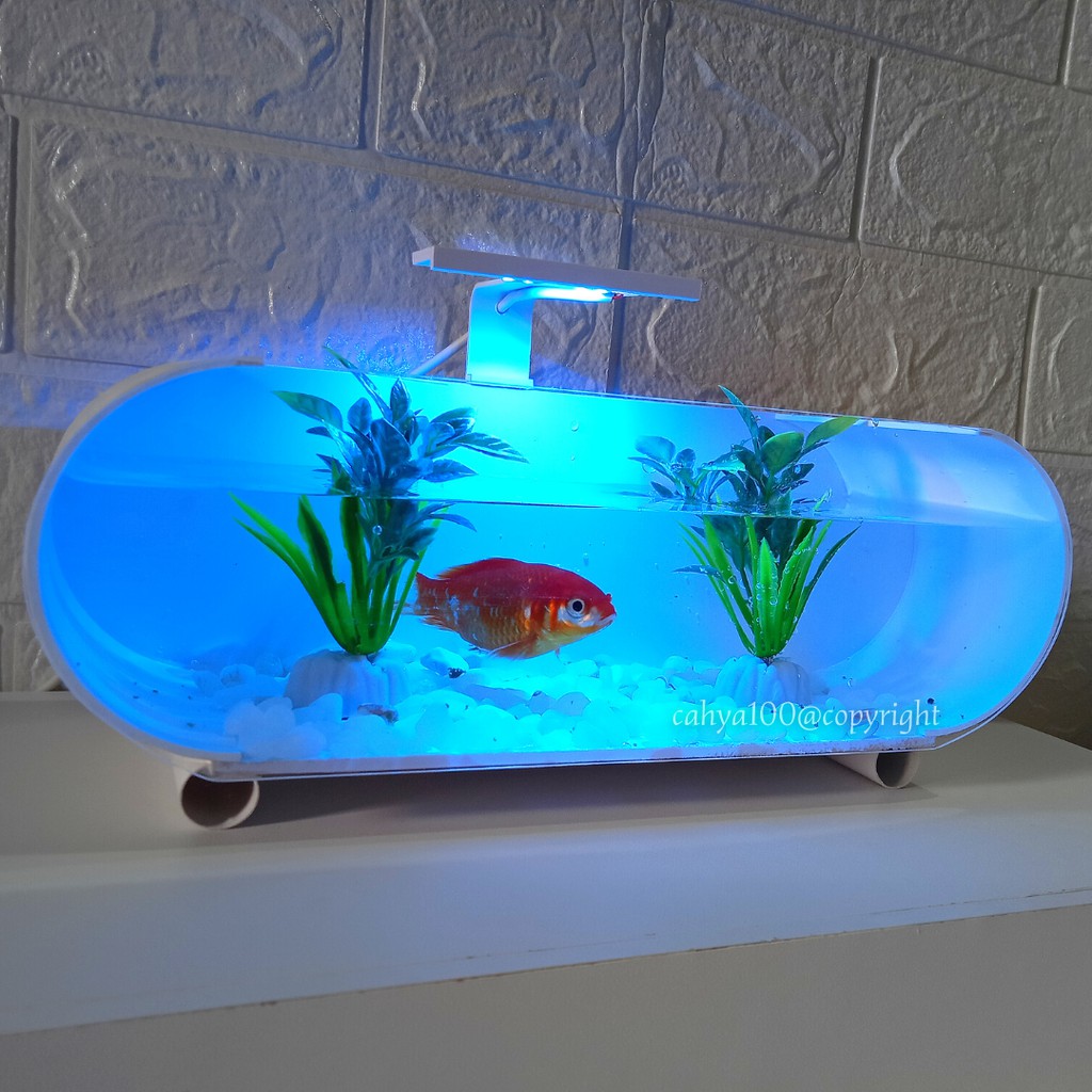 Aquarium Cm Harga Terbaik Hobi Koleksi Agustus 2021 Shopee Indonesia Aquarium vosso 75 cm