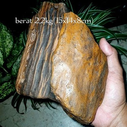 batu akik bahan fosil kayu galih kelor(079)