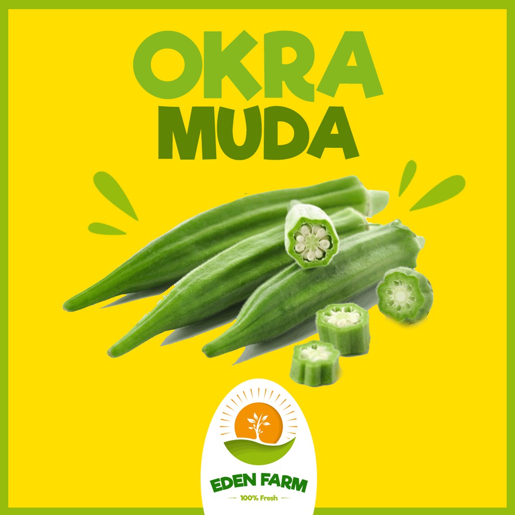 

PROMO OKRA MUDA - SAYUR BUAH MURAH 100% FRESH
