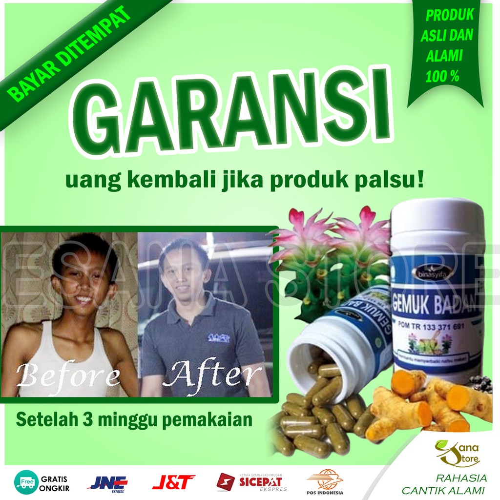 GEMUK BADAN BINASYIFA KAPSUL PENGGEMUK BADAN BINA SYIFA PENAMBAH BERAT NAFSU MAKAN PENGEMUK ES01