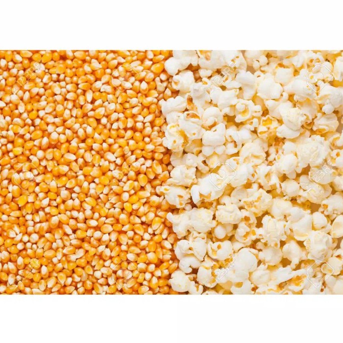 

Jagung popcorn 250 gr