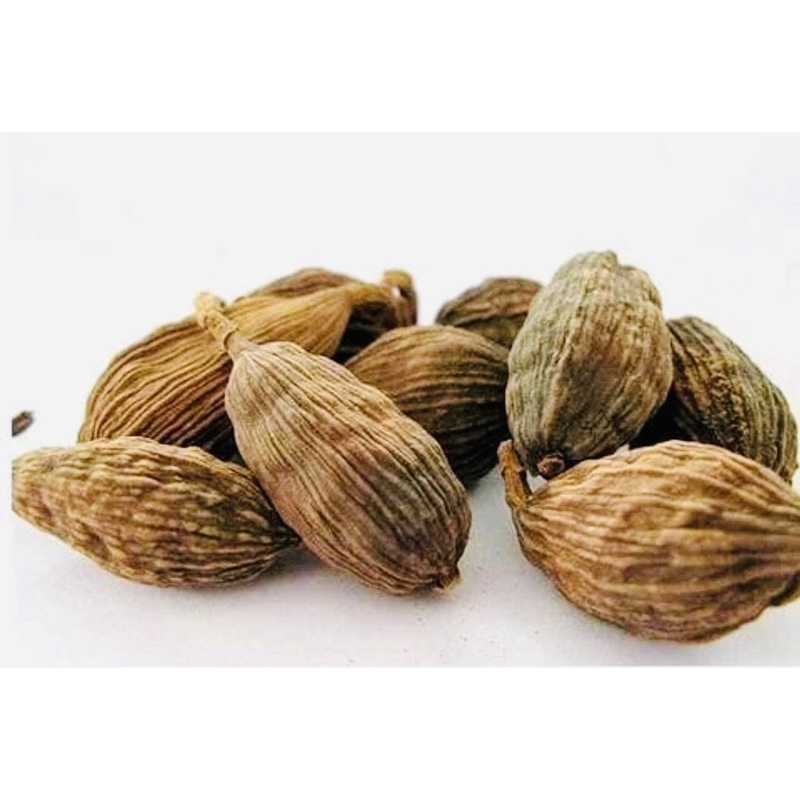 

Cao Guo Ren 100 Gram 草果仁 Black Cardamom Kapulaga Hitam Tsaoko Amomum Fruit - CHO KO JIN