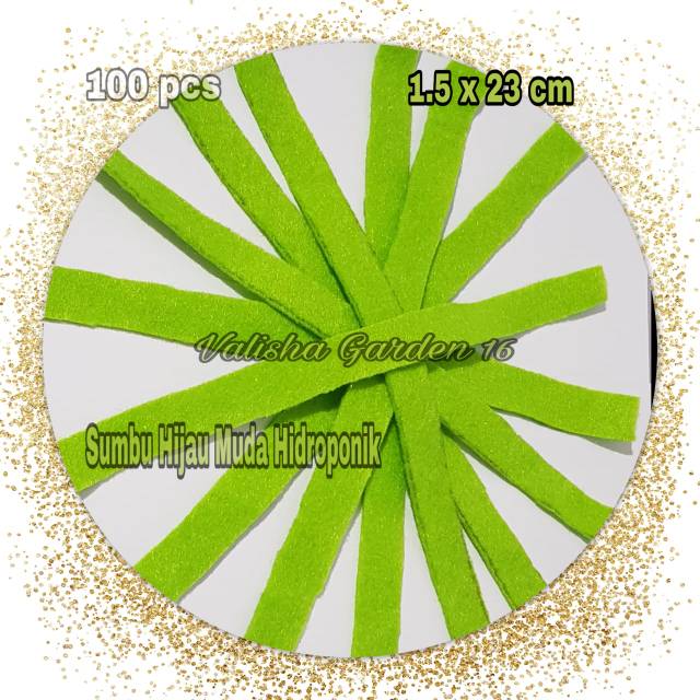 Sumbu Hijau Muda Hidroponik 100 pcs