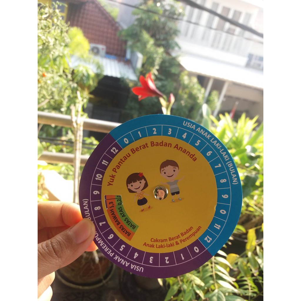 CAKRAM LINGKARAN BB ANAK USIA 0-12 BULAN