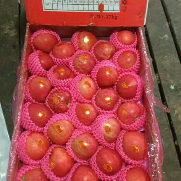 

BUAH APEL FUJI RRC PER 1 DUS