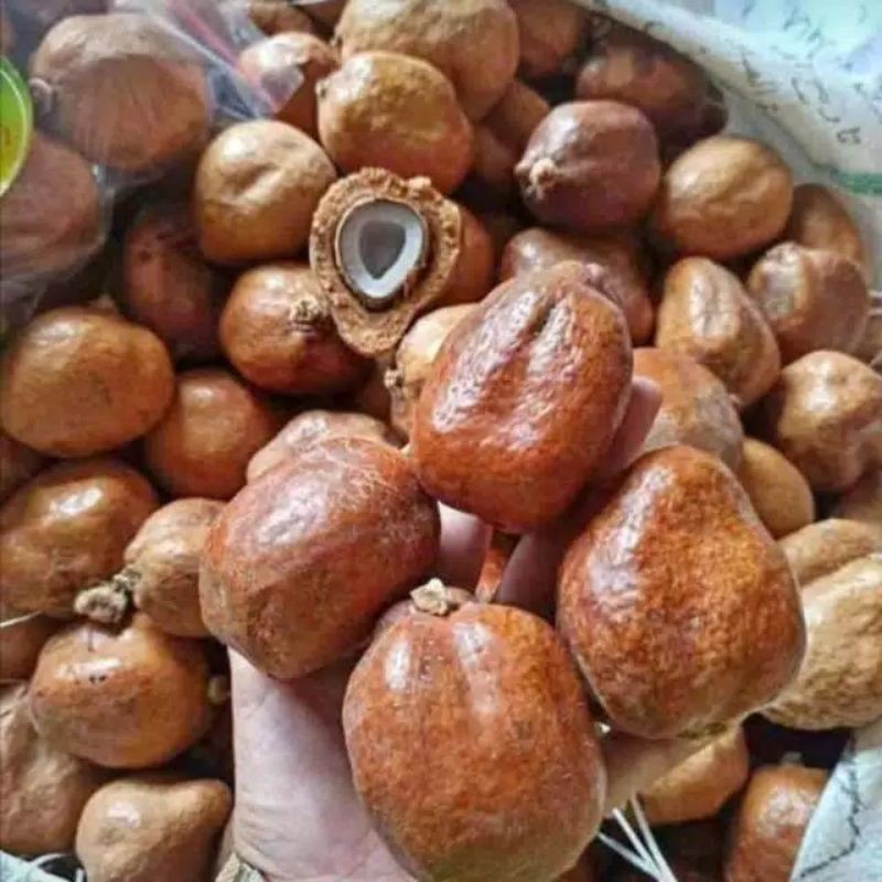 Buah Zuriat Promil perbiji