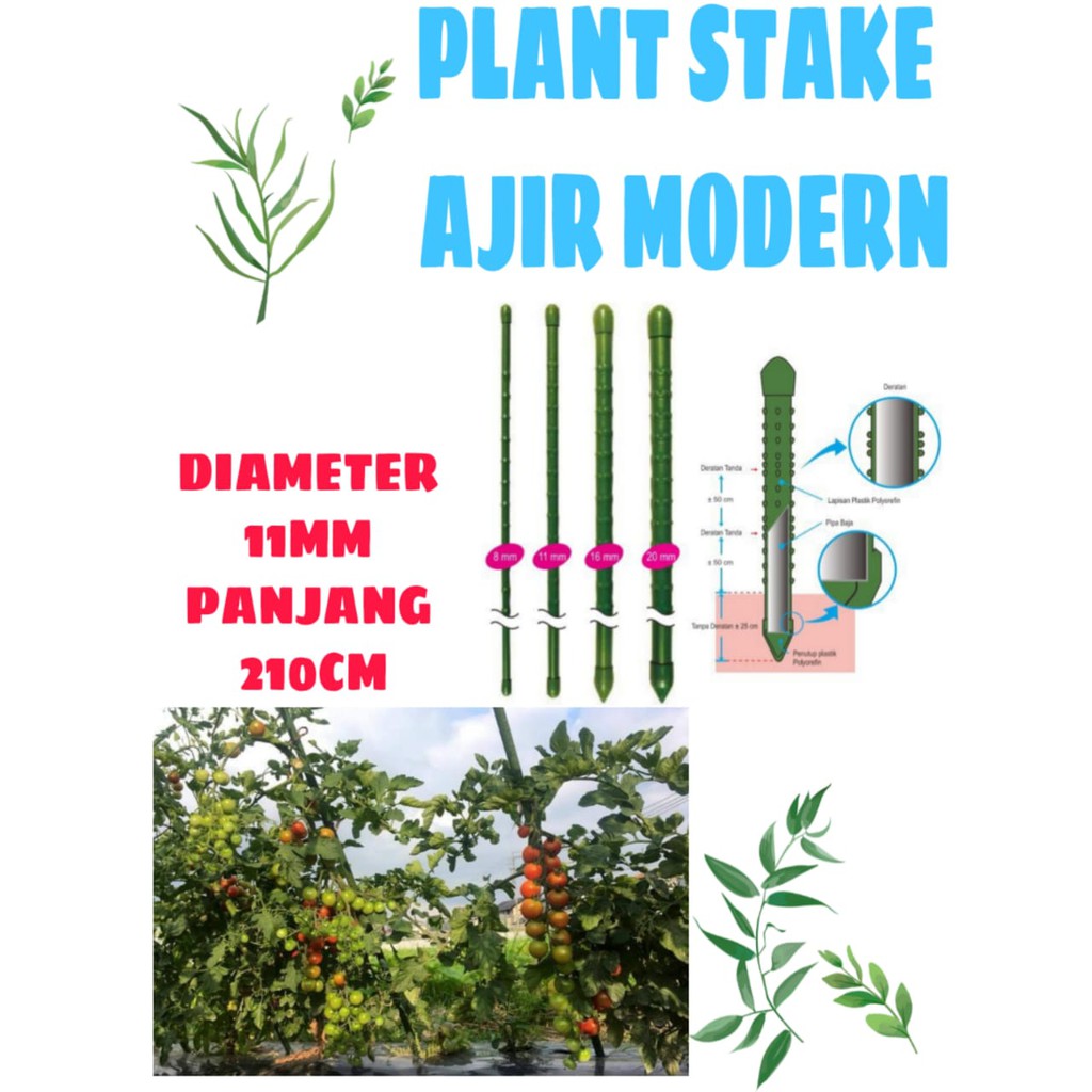 PLANT STAKE AJIR MODERN 210 CM KUALITAS JEPANG penyangga tanaman merambat 1,1 X210 CM turus rambat