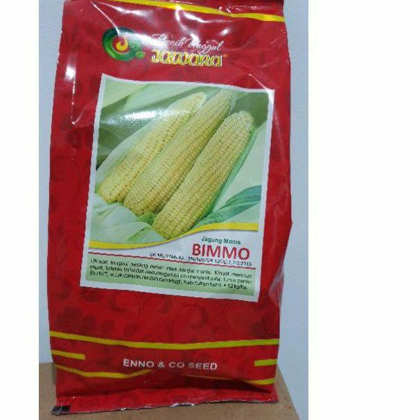 

Promo Hari Ini" ISI 500 gram bibit jagung manis BIMMO || produk asli JAWARA