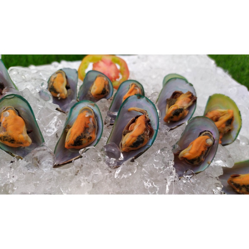 

Kerang Hijau Daging Segar 500 gr