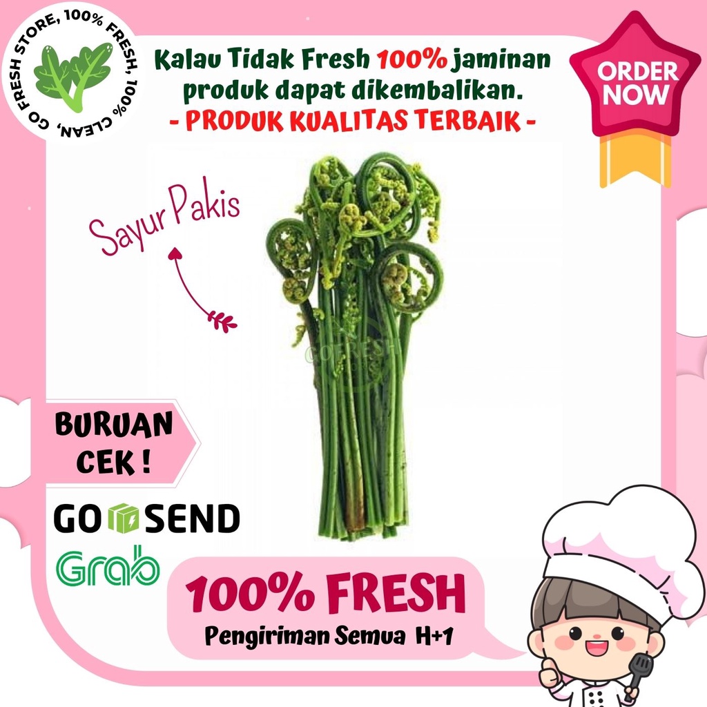 

SAYUR PAKIS SEGAR FRESH SAYURAN MURAH