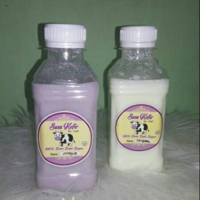

MINUMAN SUSU KEFIR PENYEHAT TUBUH DENGAN BAKTERI BAIK YG LEBIH BANYAK DIBANDING YOGURTH