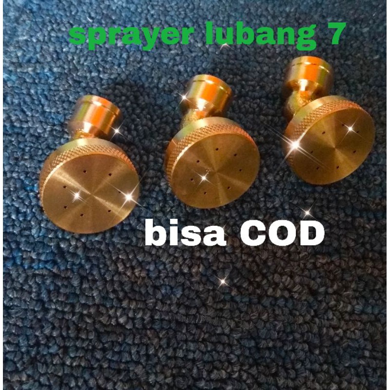 Sprayer/Nozzel Lubang 7