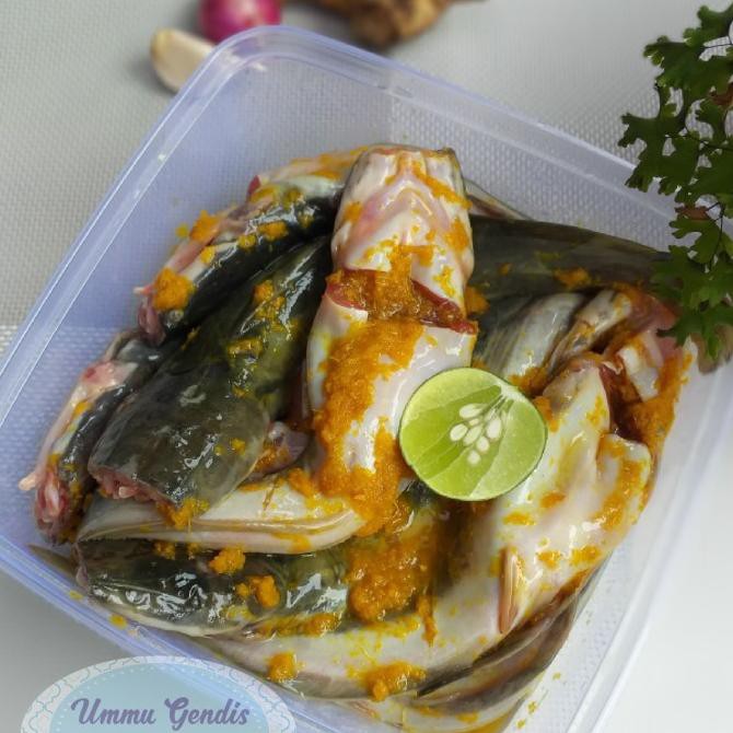 

READYY Lele bumbu -vacum food TERLARIS