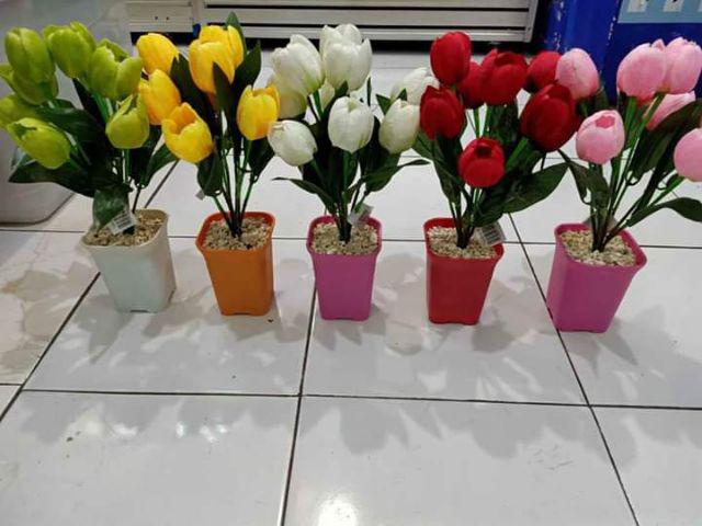 Bunga Tulip (bt0940)-bunga Meja - Bunga Hias - Bunga Dekor