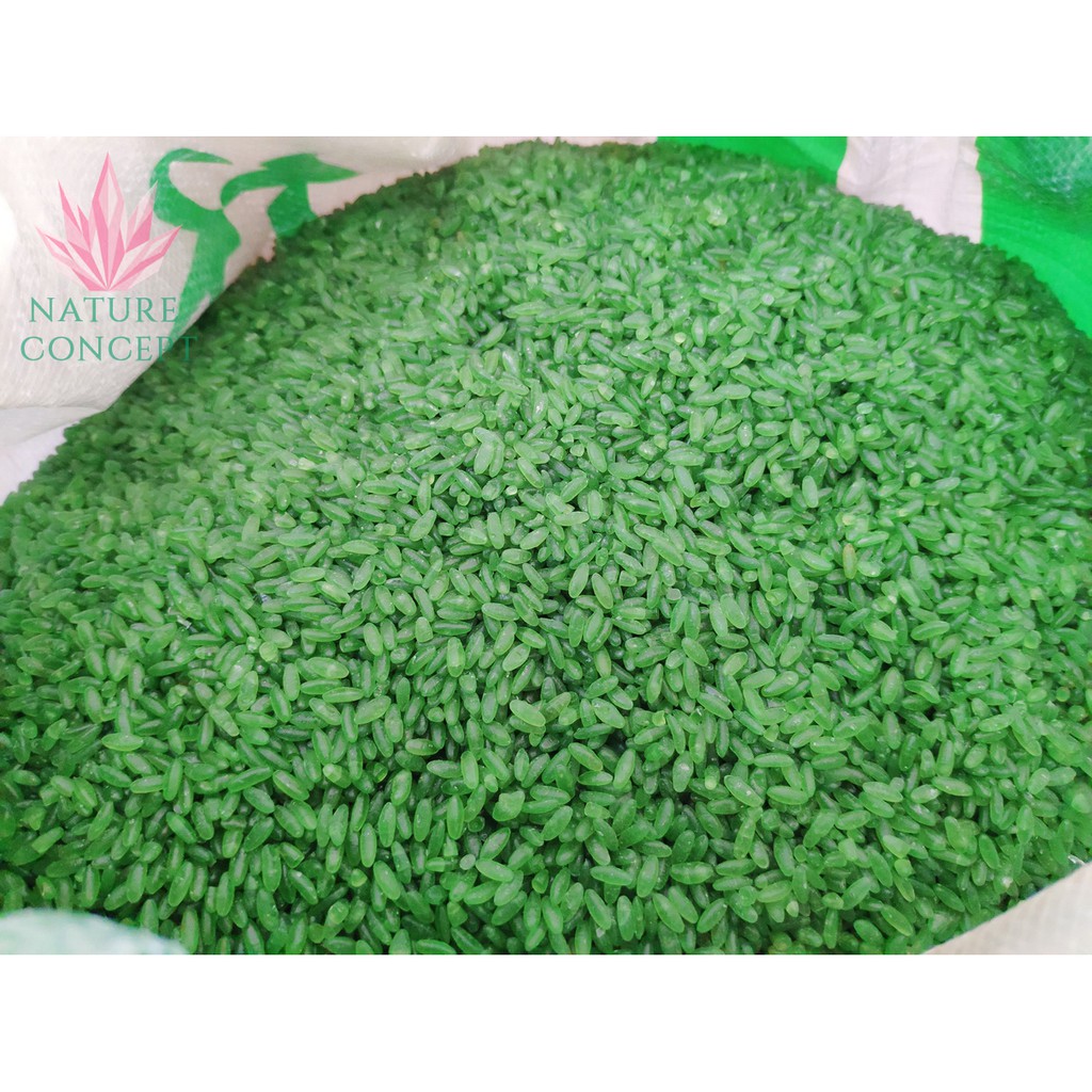 Bamboo Rice Beras Bambu 100% Natural High Quality kaya akan klorofil 500 grams