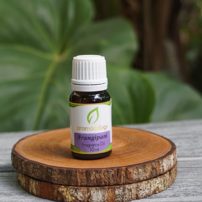 Aromatherapy Essential Oil Pengharum dan Penyegar Ruangan- Frangipani