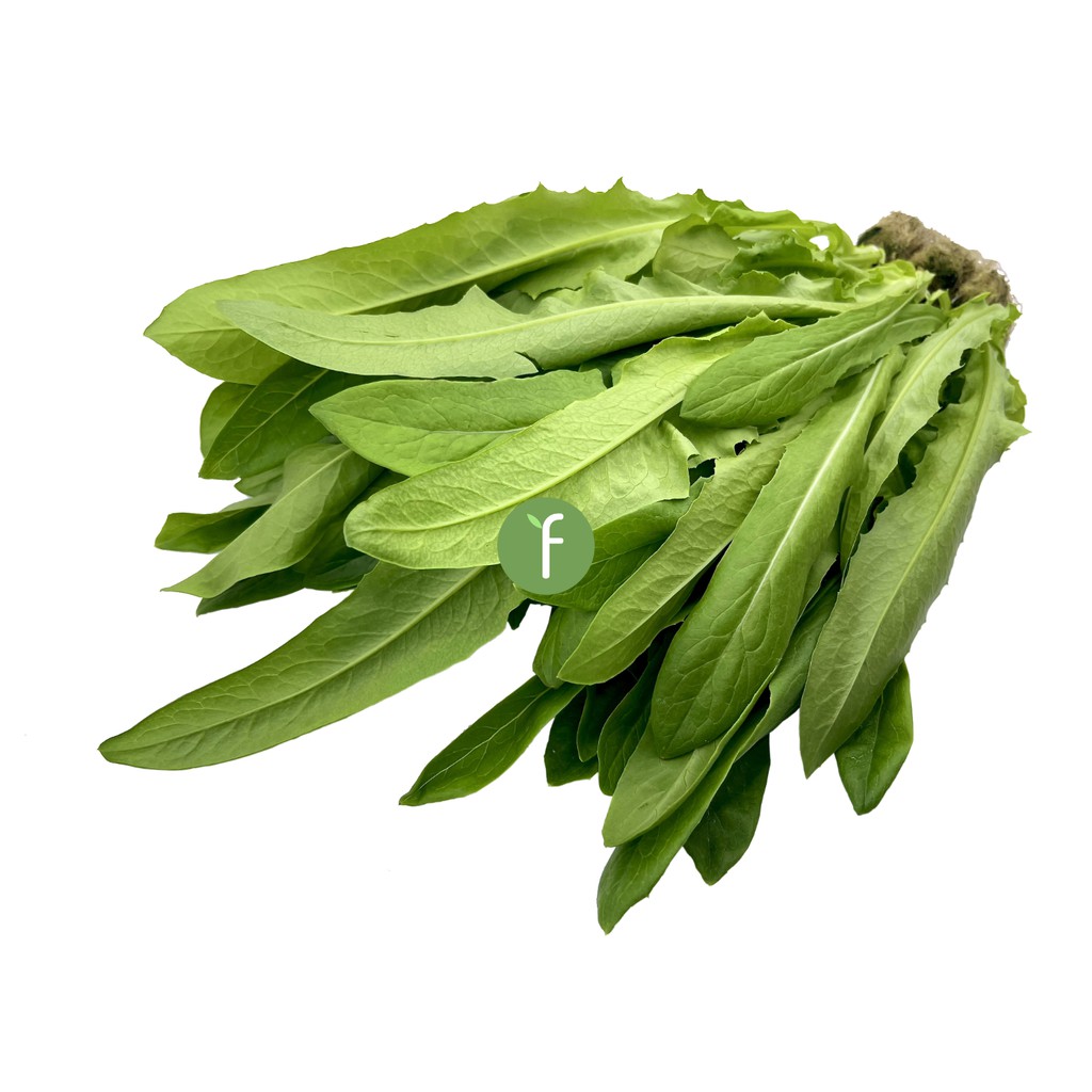 

Sayur Siomak Hidroponik | Fresh Hydroponic Chinese Lettuce