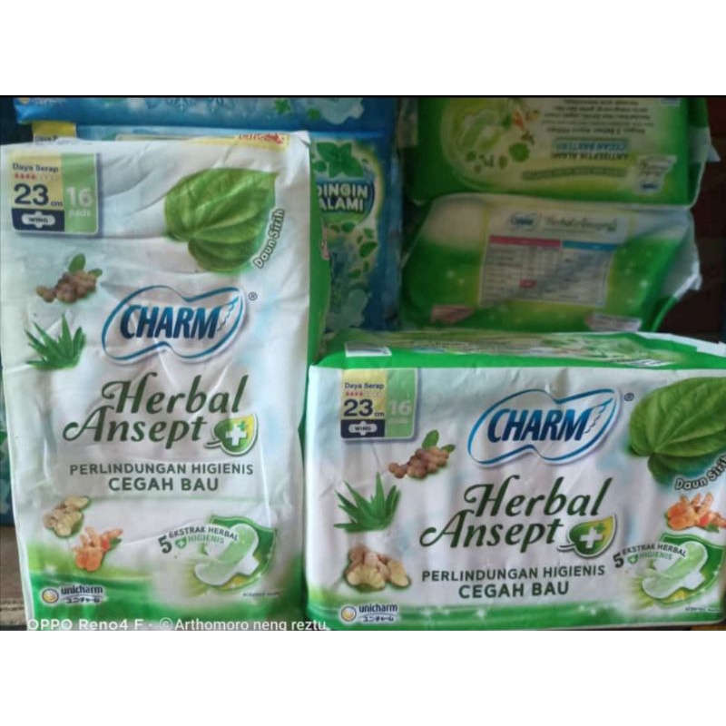 charm pembalut wanita 23cm wings