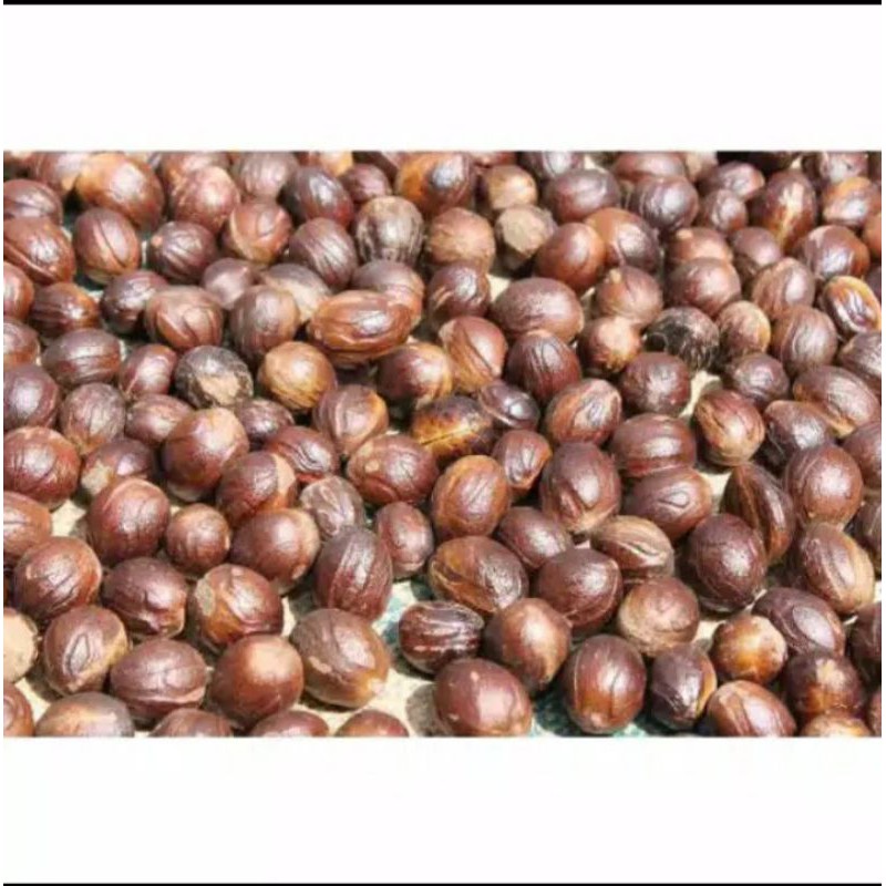 

buah pala kering per1 kg