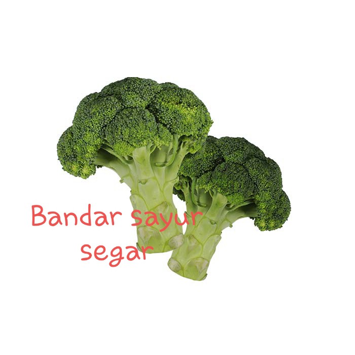 

Sayuran brokoli segar bagus baik 500 gr
