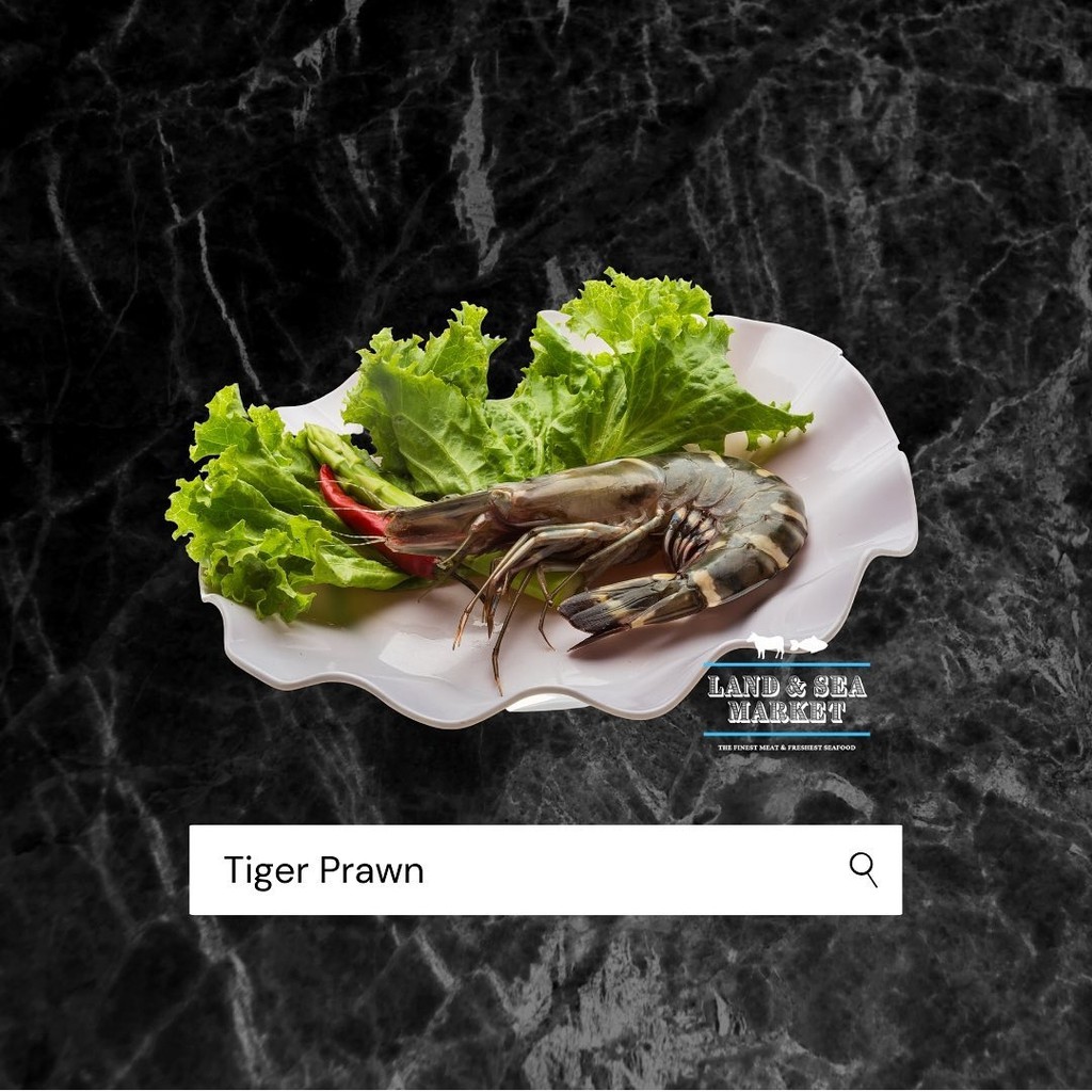 

Tiger prawn (size 30)
