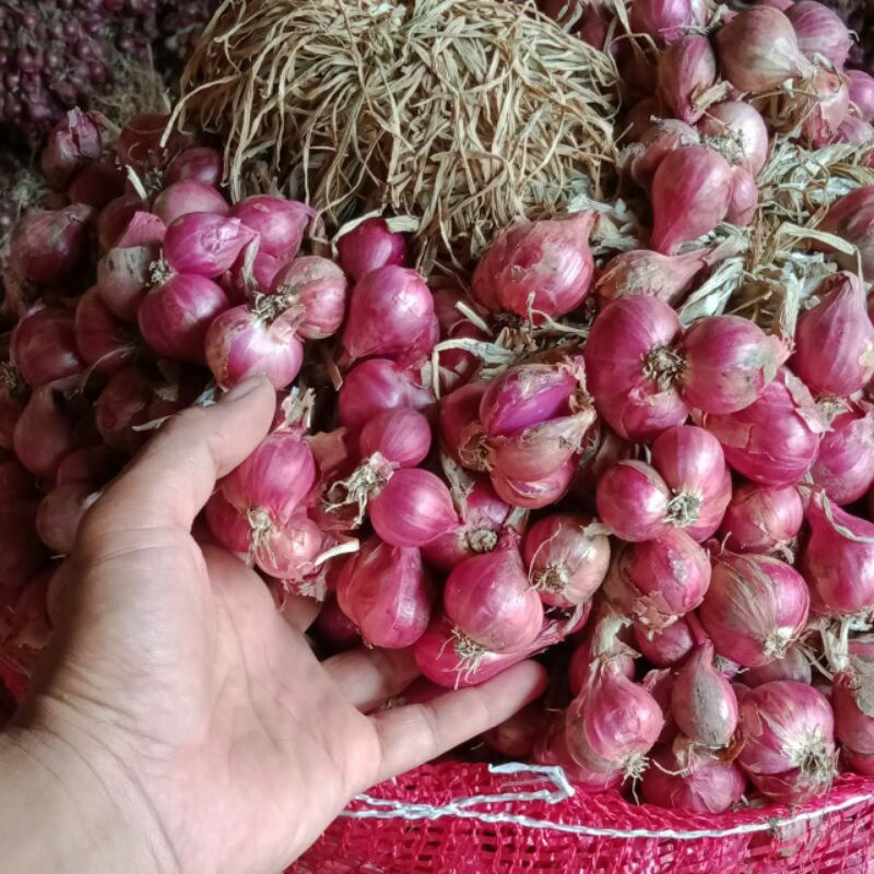 

promo bawang merah super 16kg/bawang merah probolinggo