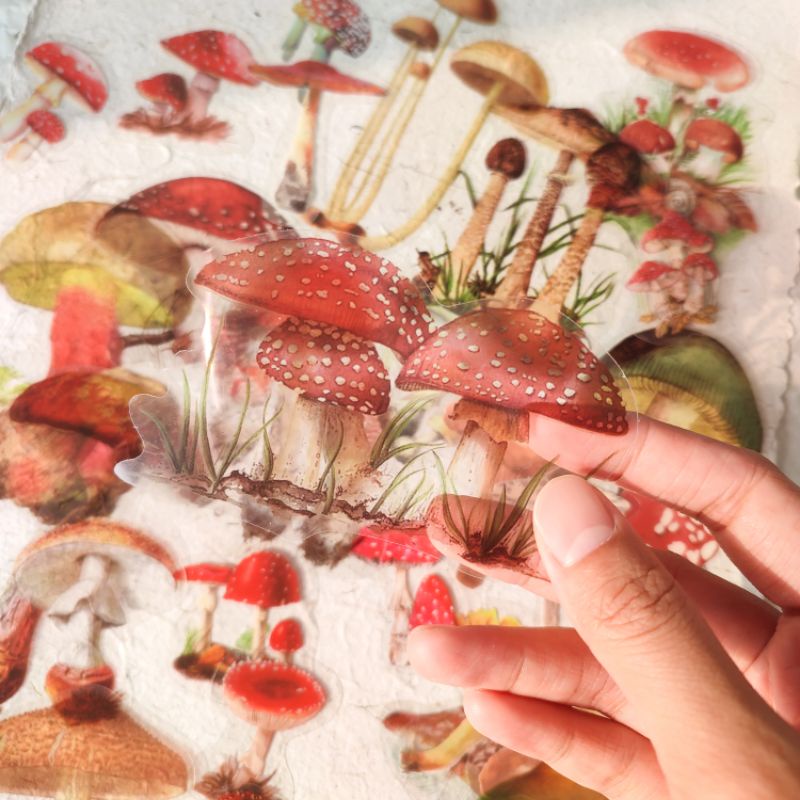 

10pcs mushroom PET Stickers/ stiker jamur / journal supplies
