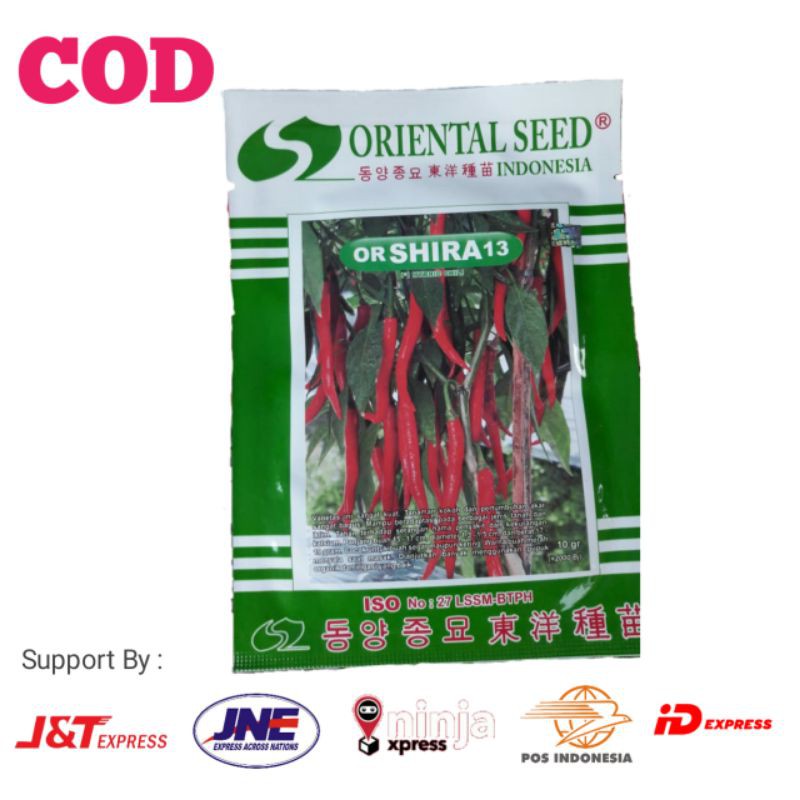 Benih Cabe keriting merah BESAR ASLI F1 Hibrida OR SHIRA 13 Oriental Seed Isi 2000 biji
