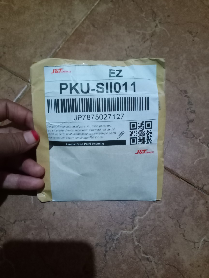 500 Biji - Benih Seledri Tall Utah Celery Tall Utah Seledri Batang Besar Seledri Stik