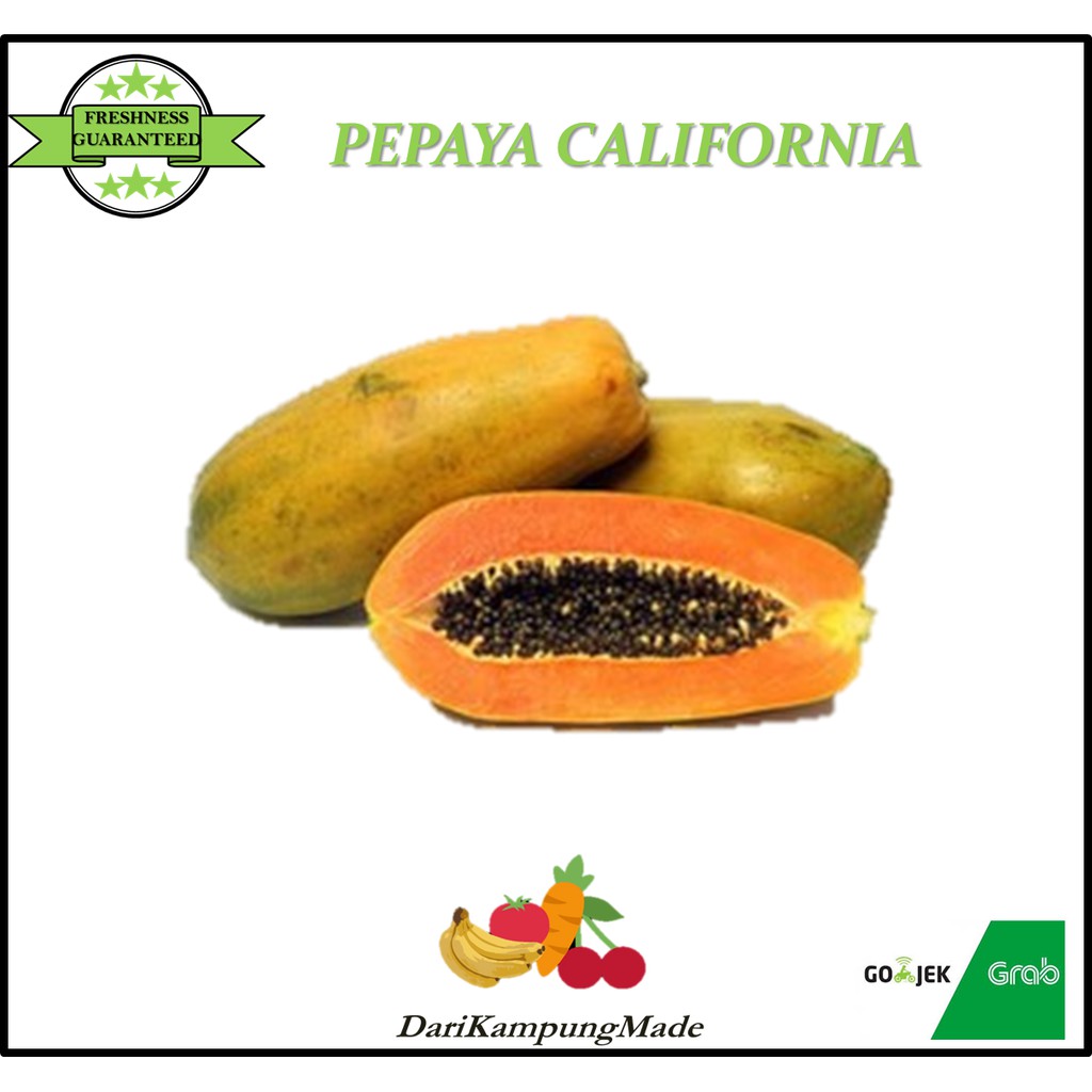 

GRAB / GOJEK ONLY / PEPAYA CALIFORNIA / PEPAYA THAILAND BANGKOK / DIJUAL PER BUAH