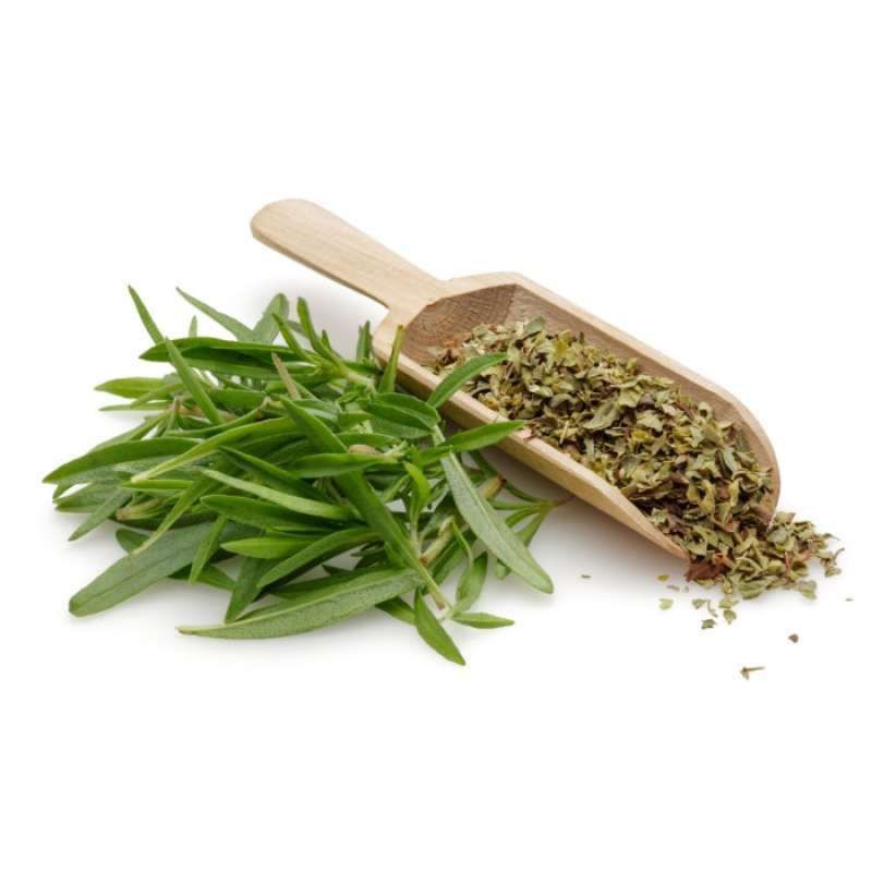 Dried daun thyme leaves timi kering bumbu daging herbal herbs