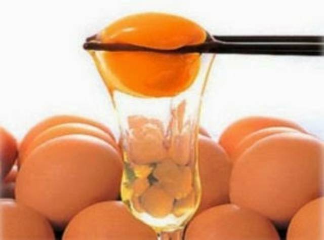 

Telur Omega 30 butir