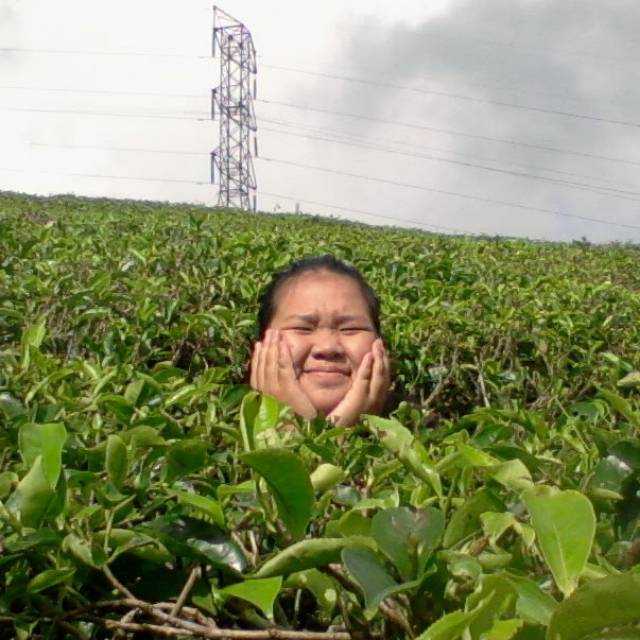 linadrive1