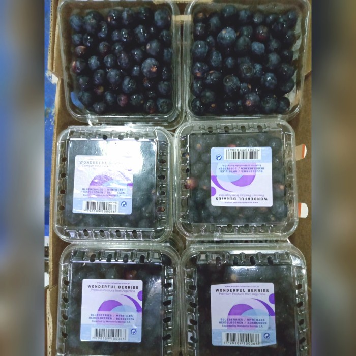 

BLUEBERRY FRESH IMPORT (pack 125gr)