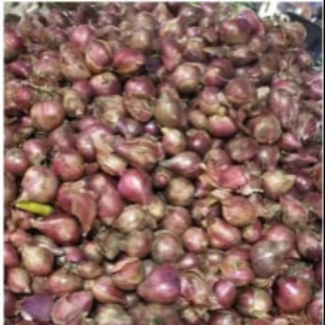 

[1KG = 1000 GRAM / 1 Kilogram] Bawang Merah Bumbu Brambang Rempah