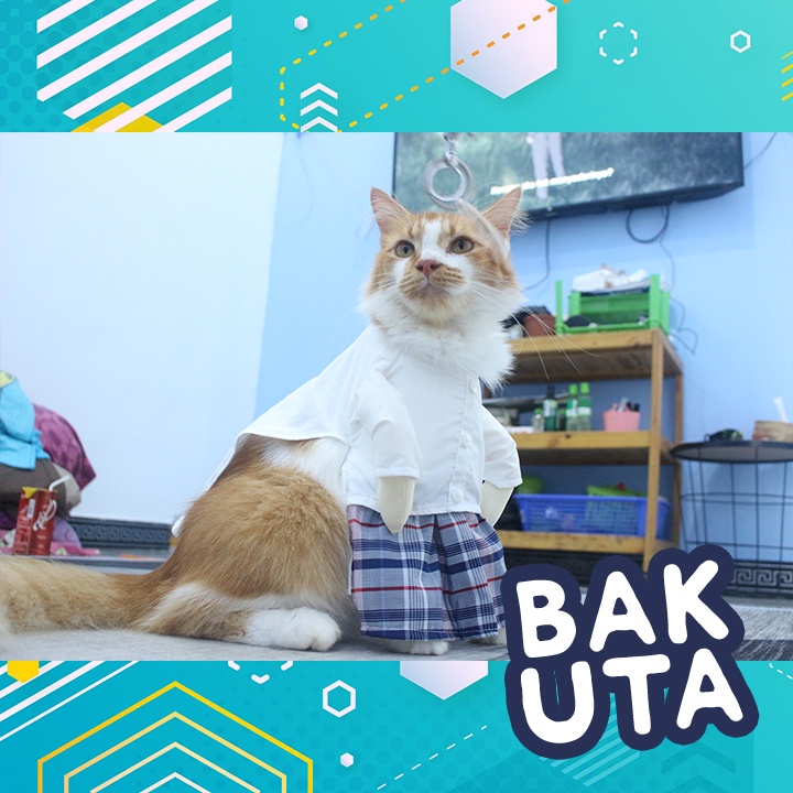 Kostum baju koko sarung kotak-kotak biru doll + Peci / baju koko kucing lebaran Terbaru size S-XL