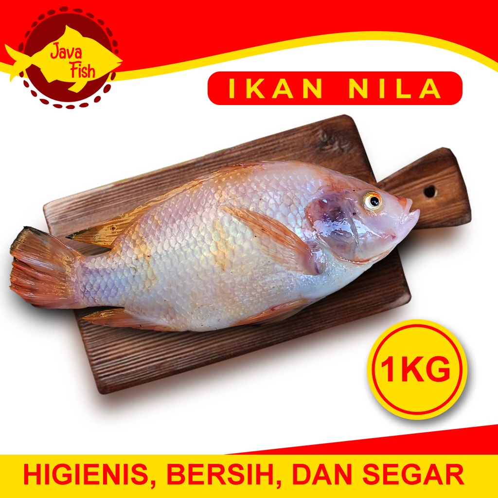 

Ikan Nila Merah Hidup & Segar - 1 KG