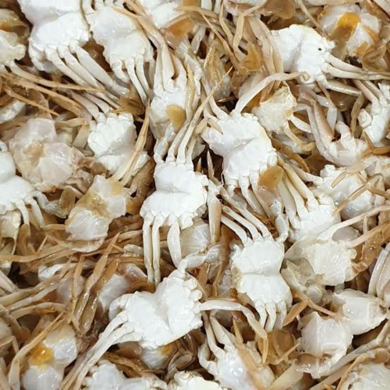 

BABY CRAB KEPITING 500GR