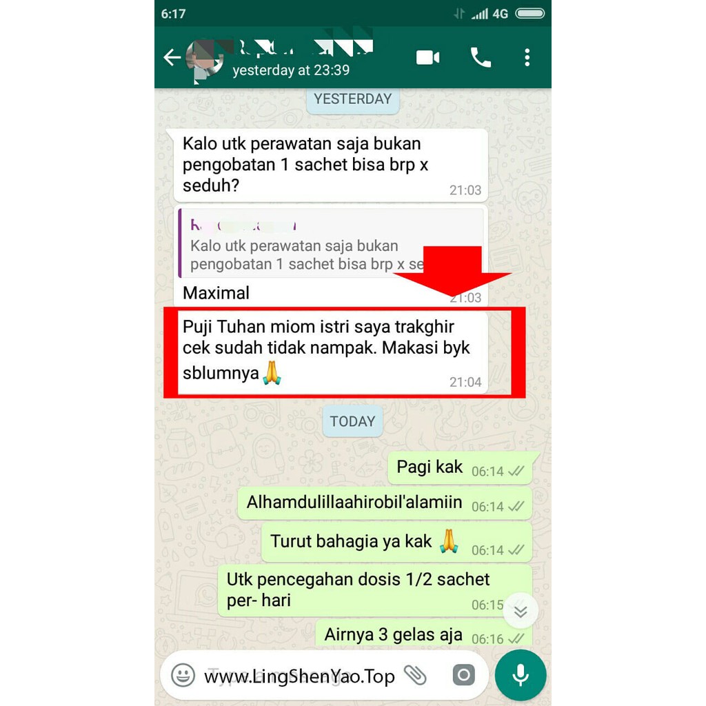 LING SHEN YAO KAPSUL - Obat Herbal Kanker - Kista - Diabetes - LINGSHENYAO Jaminan ORIGINAL per BOX-8