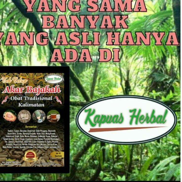 

<Bisa > Teh celup akar bajakah murni (tanpa campuran) asli kantan, isi 10 sachet x 5 gram 2F4