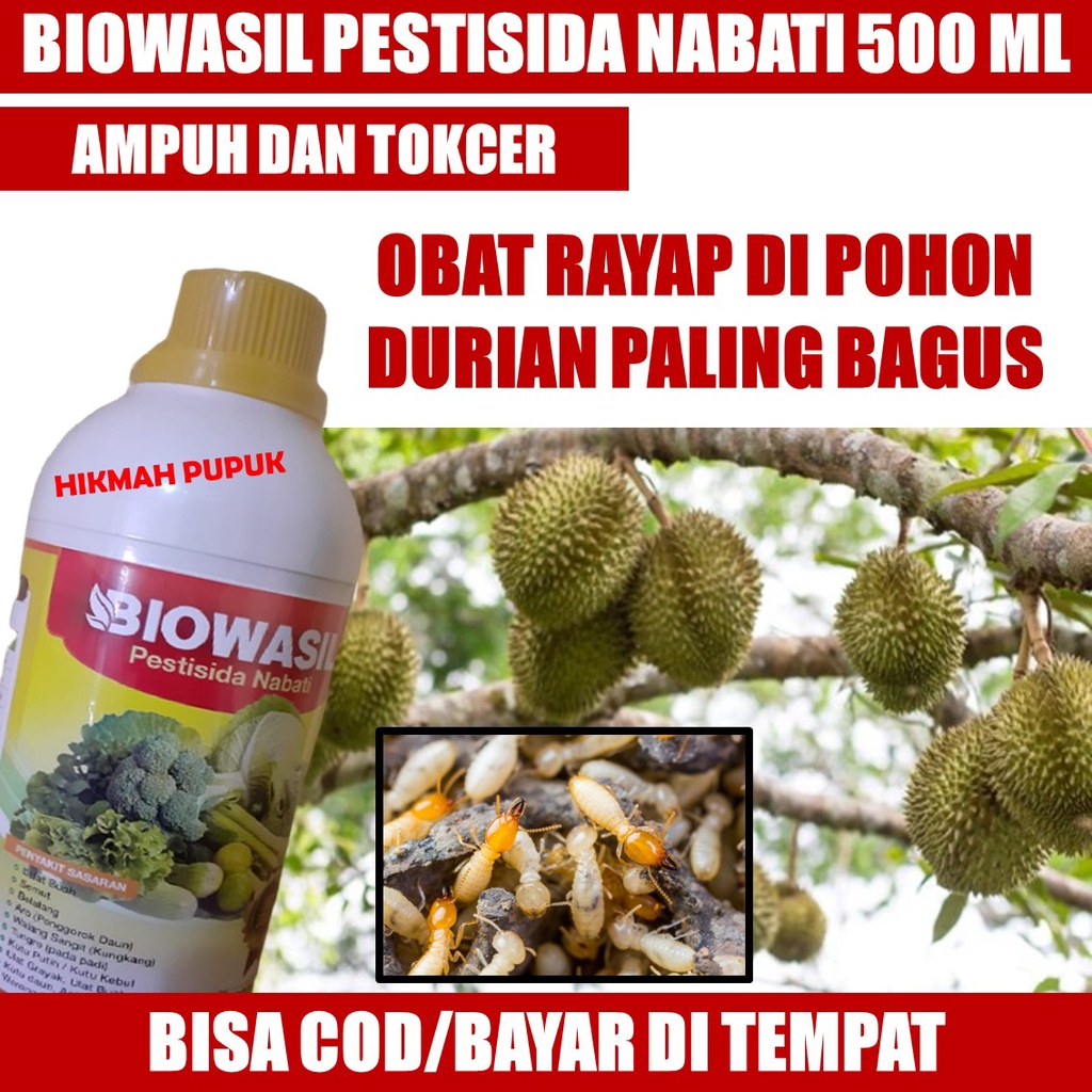 Jual Pupuk Ajaib Biowasil Isi Ml Obat Pembasmi Hama Rayap Tanah Pada Pohon Durian Pestisida