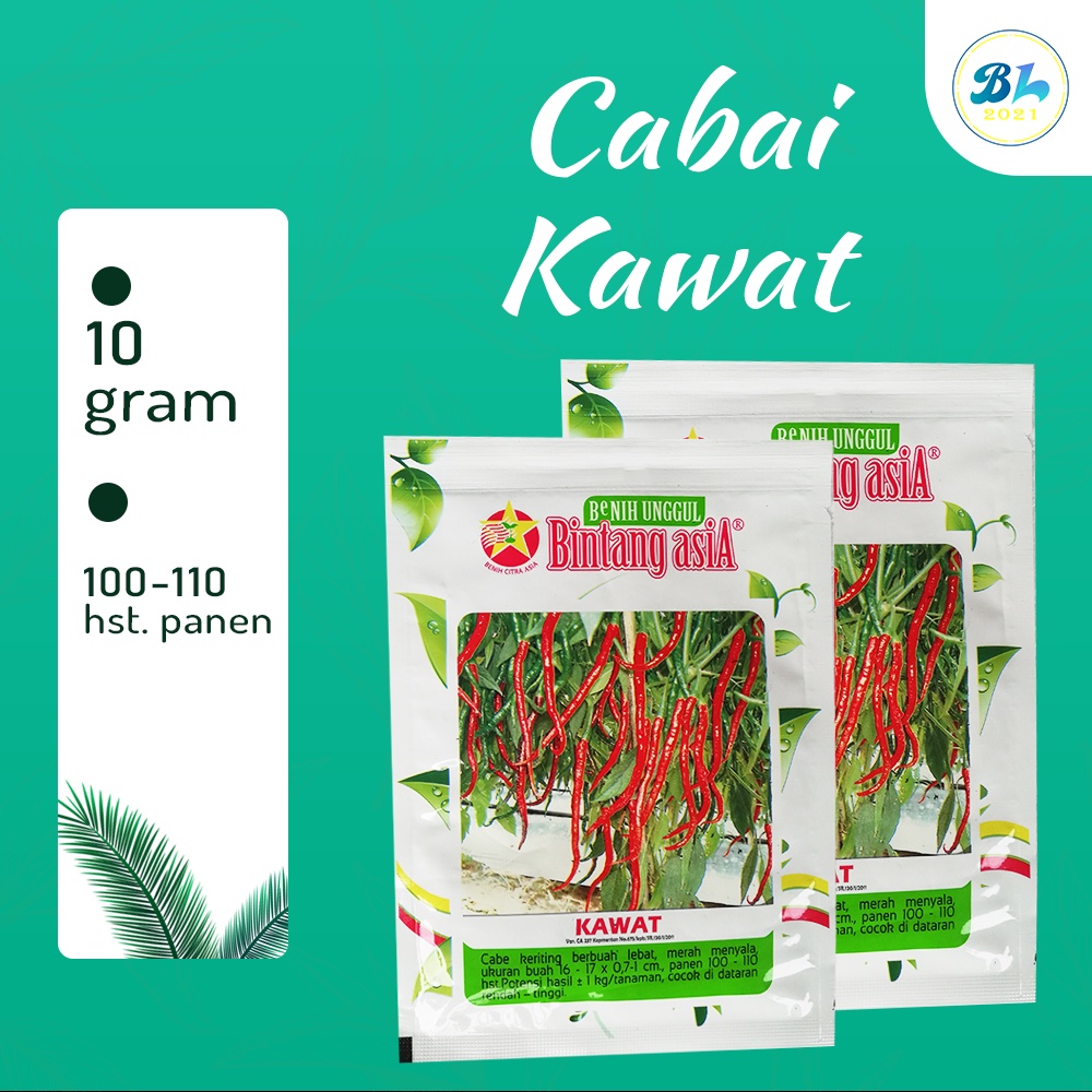 Benih Bibit Cabe Keriting Kawat 10 gram- Bintang Asia