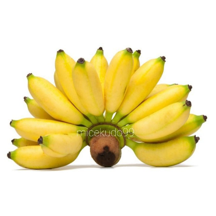

PISANG MAS 1 SISIR SEGAR / EMAS / FRESH LADY FINGER BANANA MULI ULI