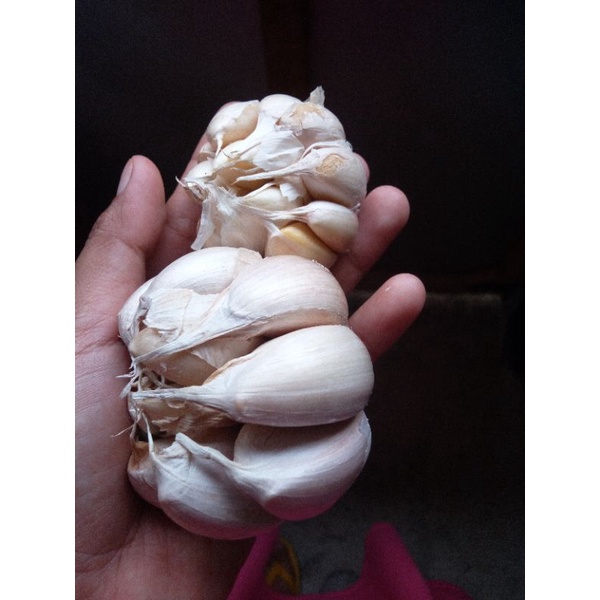

bawang putih reguler 250gr