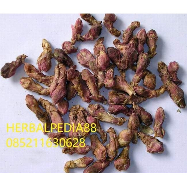 

Kuan Dong Hua Farfarae Flos 500 gram / Kuandong Hua 款冬花