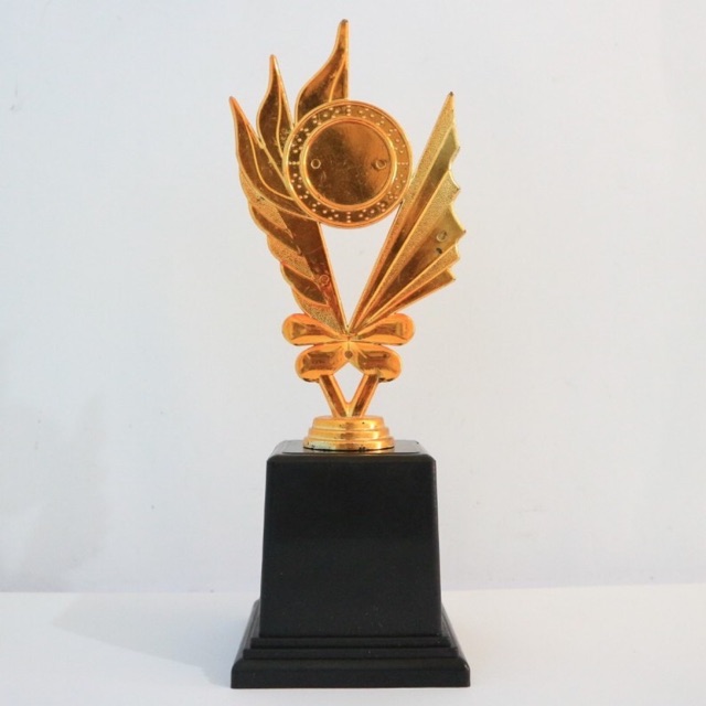 Piala murah - piala unik - piala sekolah - piala kenang kenangan