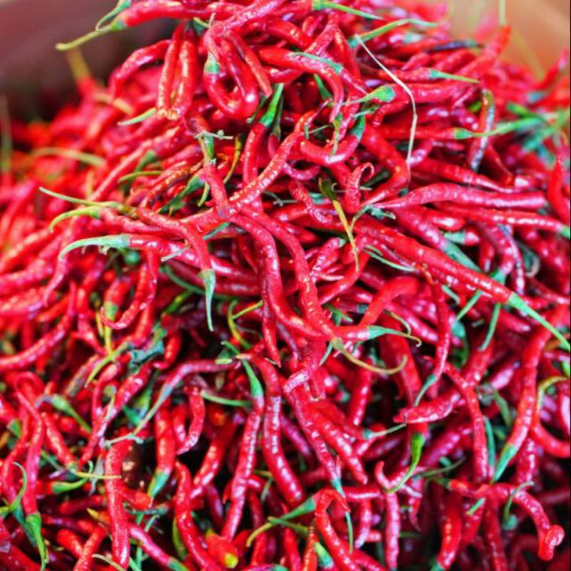 Cabe merah keriting 500 gram