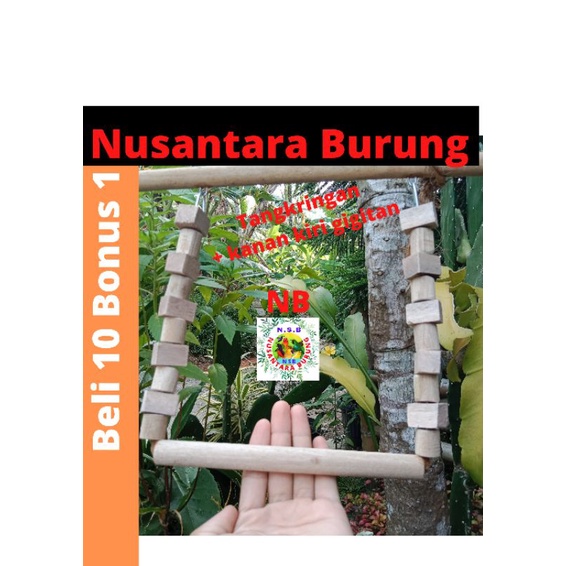 Ayunan mainan ayunan burung lovebird gigitan lovebird