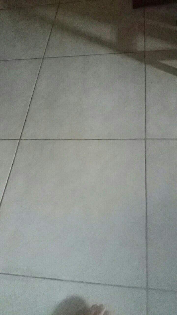 Wenis Pengharum Ruangan